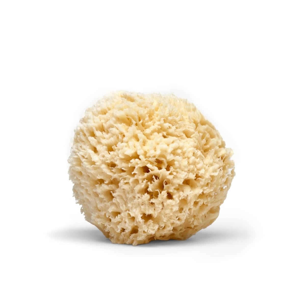 LATHER Natural Sea Wool Sponge 4-6Ó - Gentle Exfoliating Loofah for Invigorating Spa Experience - Natural Bath Sponge Varies in Size & Shape - Organic Loofah