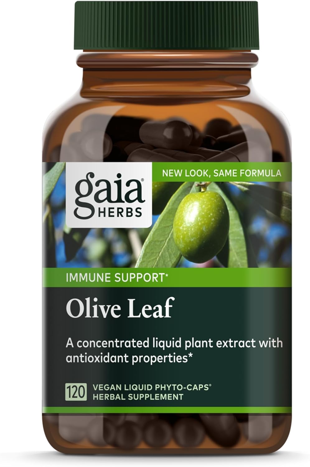 Gaia Herbs Olive Leaf - Traditional Immune Health Support - Immune System Supplement with Olive Leaf Extract and Oleuropein - 120 Vegan Liquid Phyto-Caps