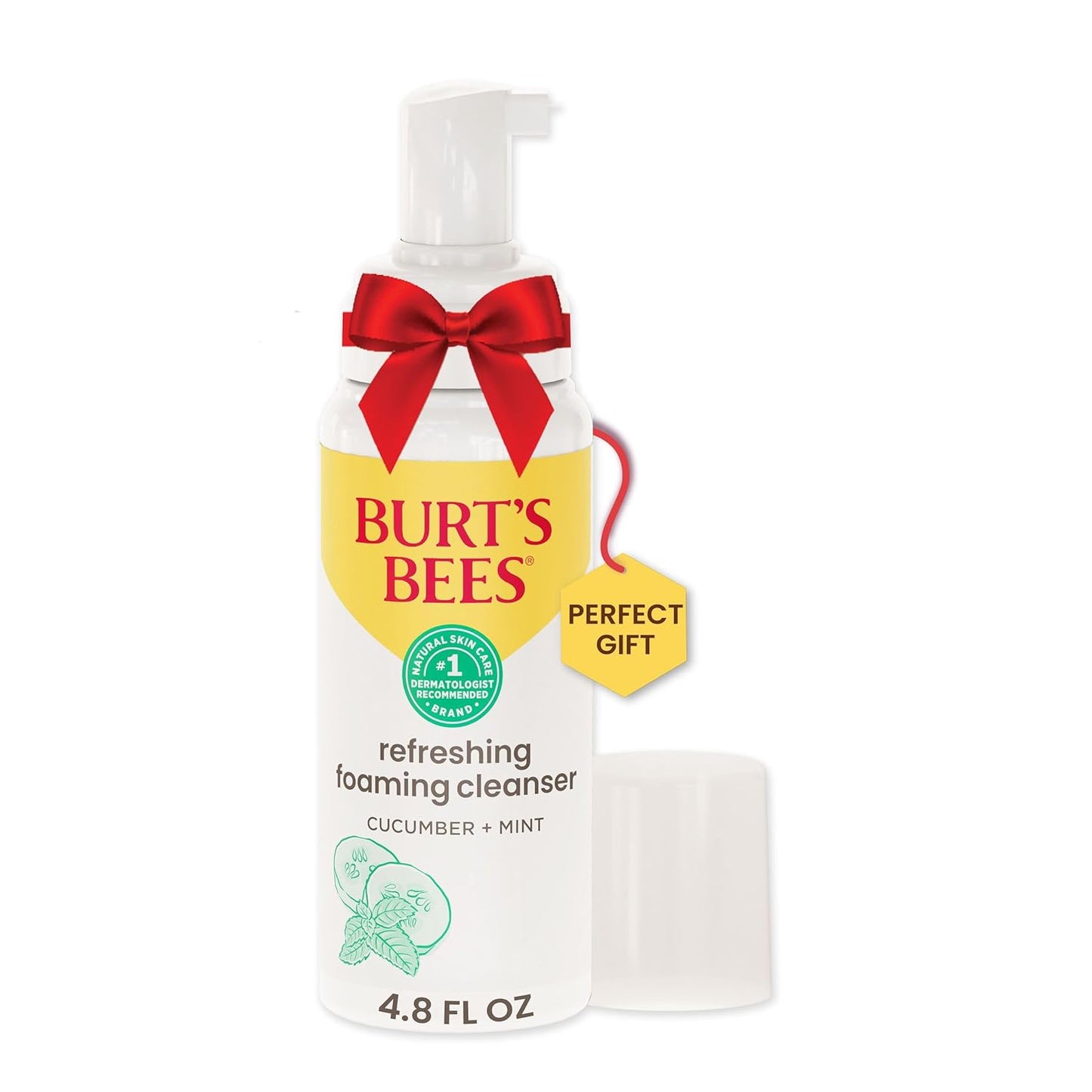 Burt's Bees Refreshing Foaming Face Cleanser and Natural Face Wash with Cucumber and Mint, 4.8 Fluid